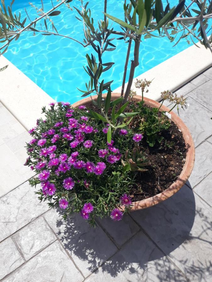 Holiday Home Bepo Севид Екстериор снимка